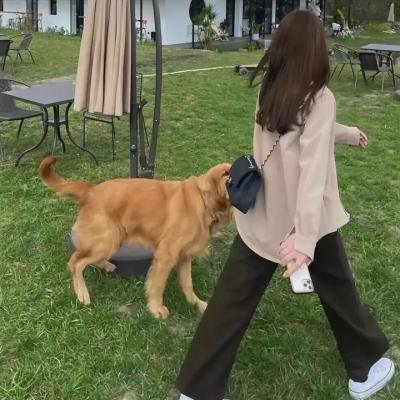 迷乱 海报